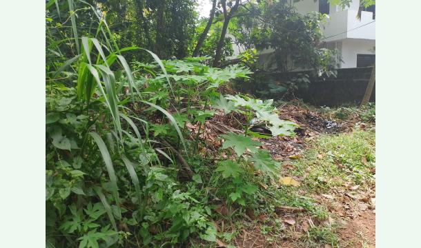 Cover A Renter's Cry: We Need Our Own Walls