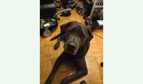 Cover Aider Sauron a retrouver sa patte