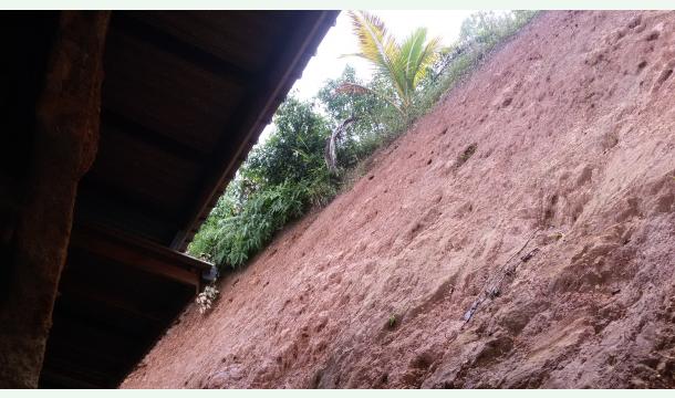 Cover Please Help My Family Find a Safe Home