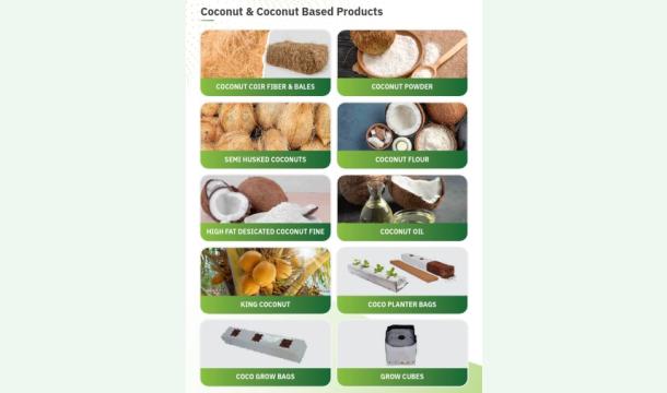 Cover Help Me Rebuild My Life and My Dream of Entrepreneurship