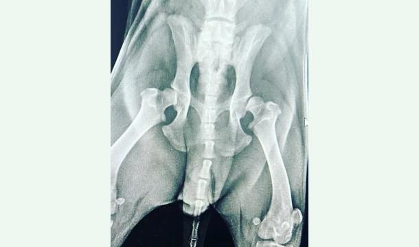 Cover All of this for save you walter baby..