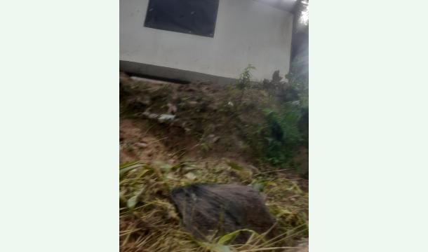 Cover Please help  as billing the hows 