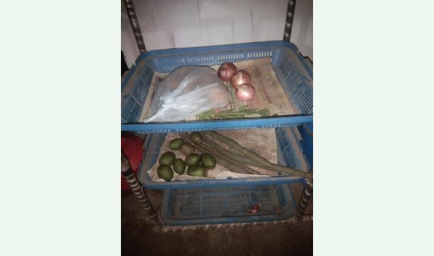 Cover Food expenses and commuting to work