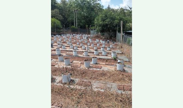 Cover My happy pot,my little green world 🌱💚