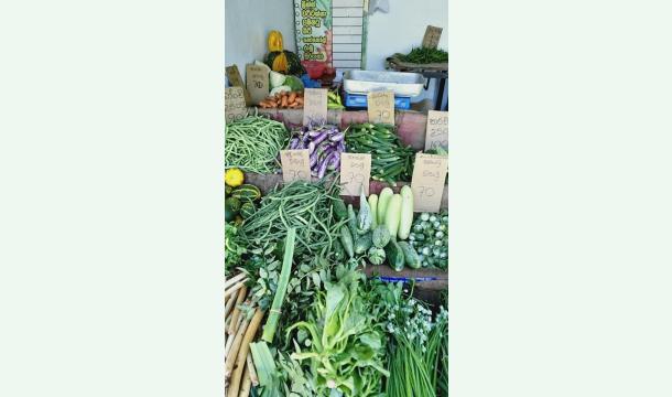 Cover My vejetable business has collapsed due to loans and interest payments  i am very helpless and would...