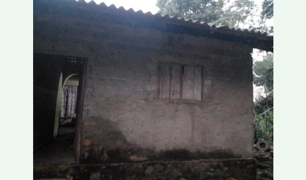 Cover Building my house 