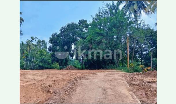 Cover To buy a new land to build a house