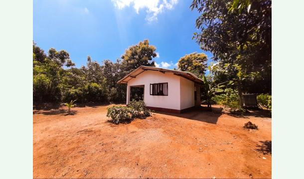 Cover I would like to build a house for a needy person on my birthday.