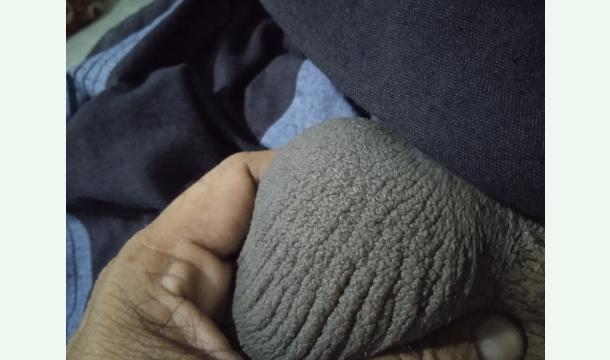 Cover Need money for serjary