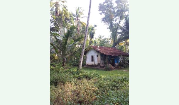 Cover Help Me build a new house 🏠