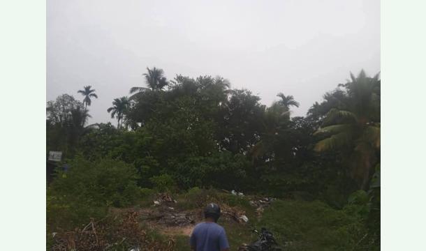 Cover Help us build a business building