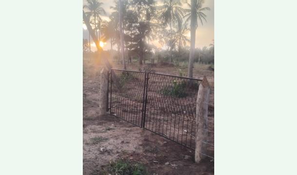 Cover To satisfy hunger