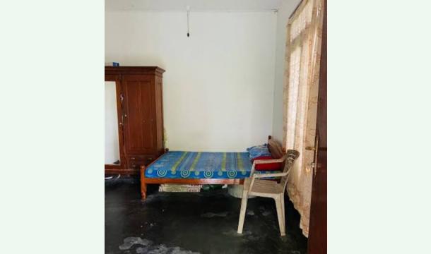 Cover Bodimaka inne geyak hadaganimata