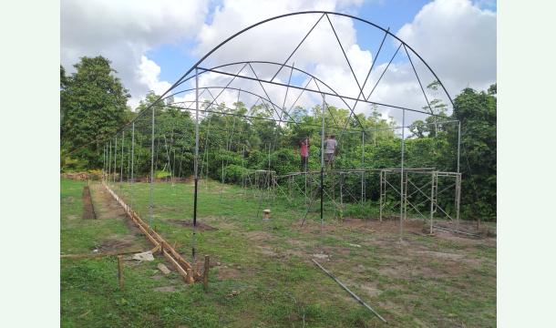 Cover Please Support My Dream Tunnel Farming Project