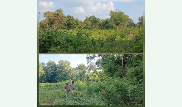 Cover To build a room and provide the necessary facilities for cultivation.