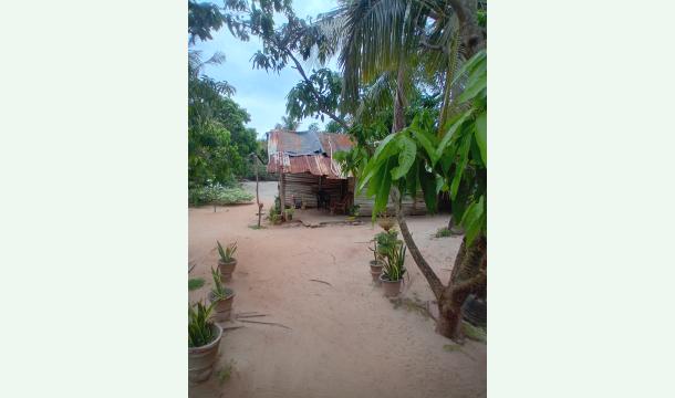 Cover Halp us build new house