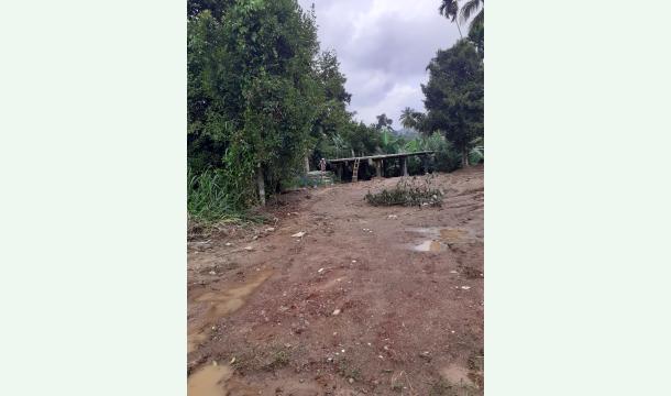 Cover Still I have no real income to life 