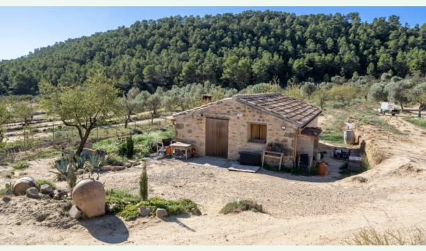 Cover Nous quittons la Suisse pour une nouvelle vie en Espagne!