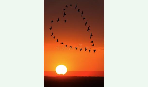 Cover Warm wishes for Simi