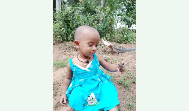 Cover For Build my house 