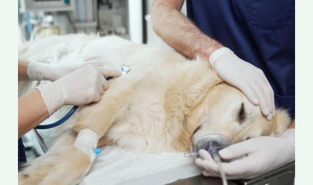 Cover For an operation