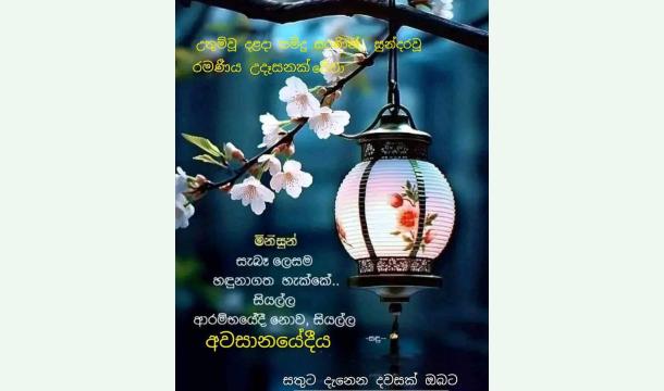 Cover Bissnusss price yen