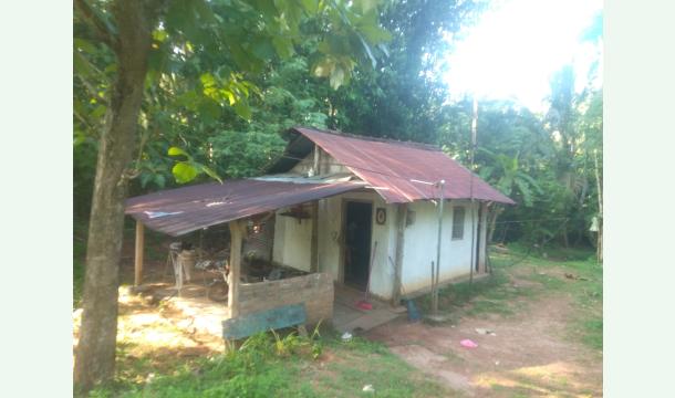 Cover Build a small house