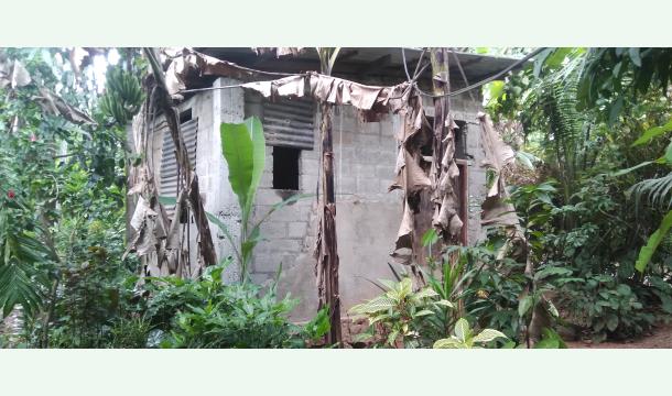 Cover Build a house and get married