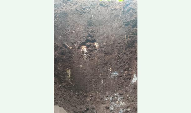 Cover To give food to beggars in the markets.