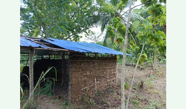 Cover Help me build a house.