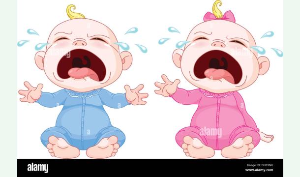 Cover Les twins de Dims