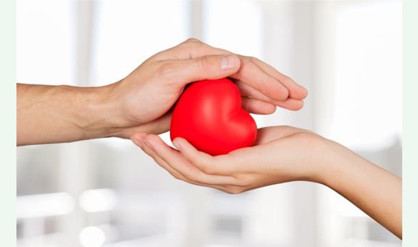 Cover Save Little Lives - Pet Food & Medical Fund