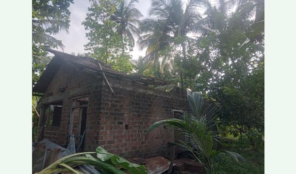 Cover Need roof sheet for small house