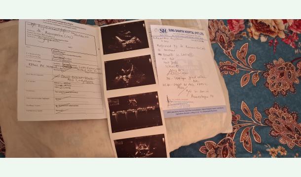 Cover To hehealing the hole in the heart of the two month baby