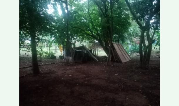 Cover There is no place to live