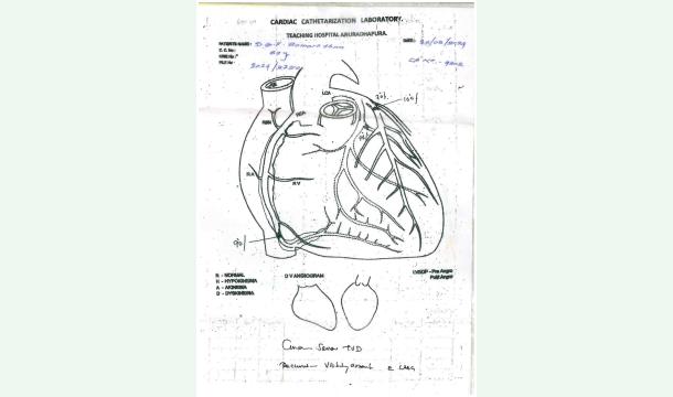 Cover HERTH OF REPLACE