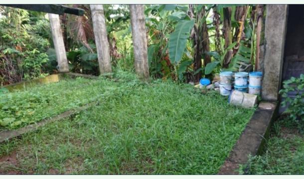 Cover Help Me Build a Safe Shelter for My Family