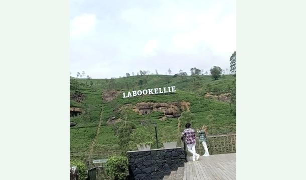 Cover I have a dream to join the rapidly developing tourism industry in Sri Lanka and buy a car to transpo...