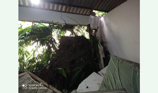 Cover The landslide destroyed our poor house