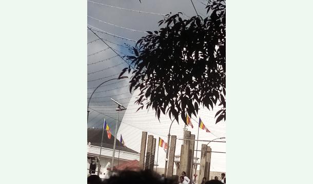 Cover Help me get my mother some medicine quickly.