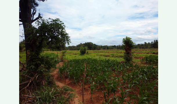 Cover Let's provide equipment and necessary knowledge to needy Farmers!