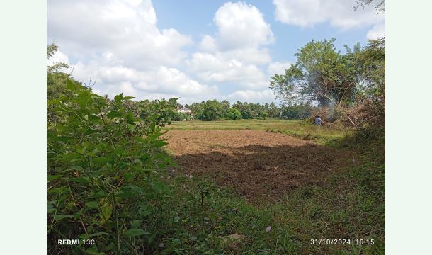 Cover Help us build a new house 