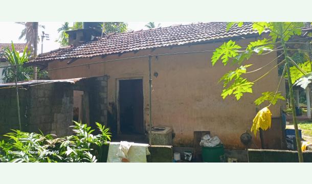 Cover Beg your powerful strength 