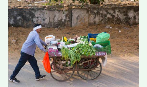 Cover Small Business Start-up Support for My Future