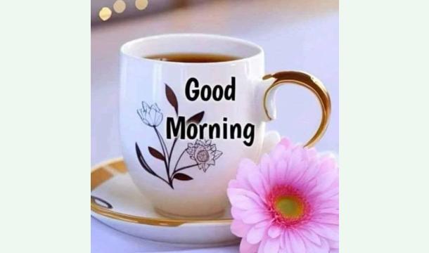 Cover Happy birth day