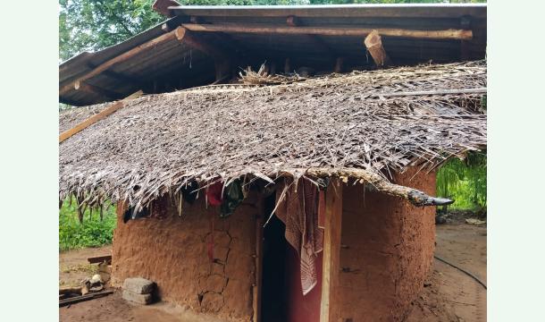 Cover Please help me fix my house.