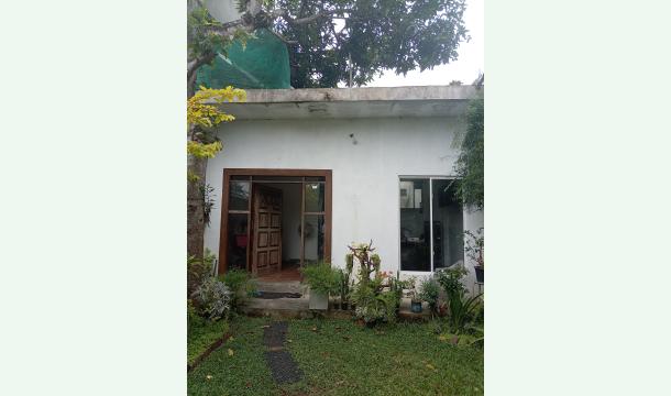 Cover Build room for home stay rent 