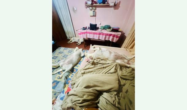 Cover Financial help during difficult  times 