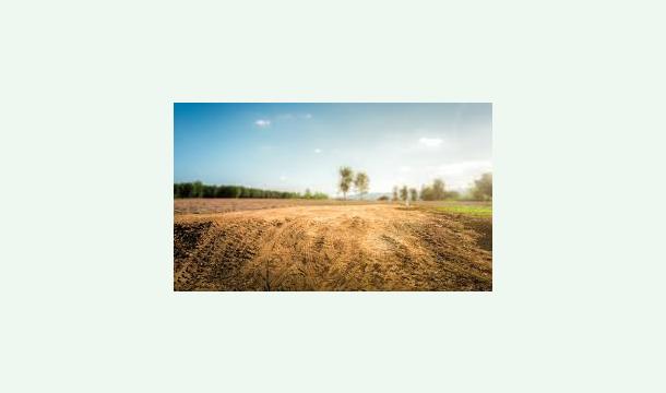 Cover A family life free from sorrow