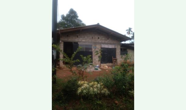 Cover Please help me fix my house as I suffer from a neurological disorder.